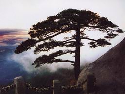 Mount Huangshan West Sea Grand Canyon Hiking Tour