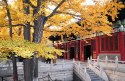 Classical Beijing Tour