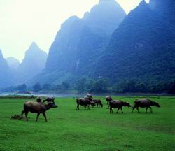 Classical Guilin Tour