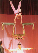 Shanghai Acrobats Show