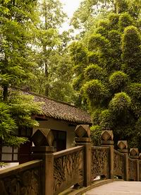 Du Fu's Thatched Cottage