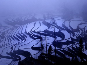 rice paddies in Yuanyang