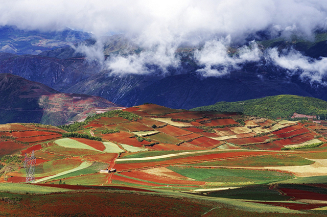 Dongchuan Red Land 