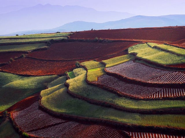  Dongchuan Red Land  