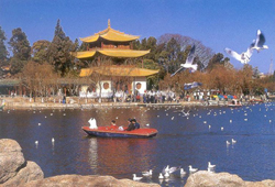 Kunming City Tour