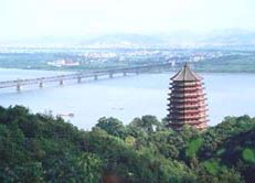 Hangzhou and Wuzhen Tour